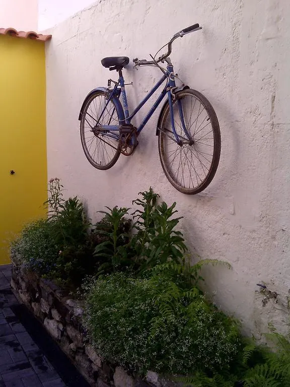 Casa Da Avo Clementina Villa Funchal